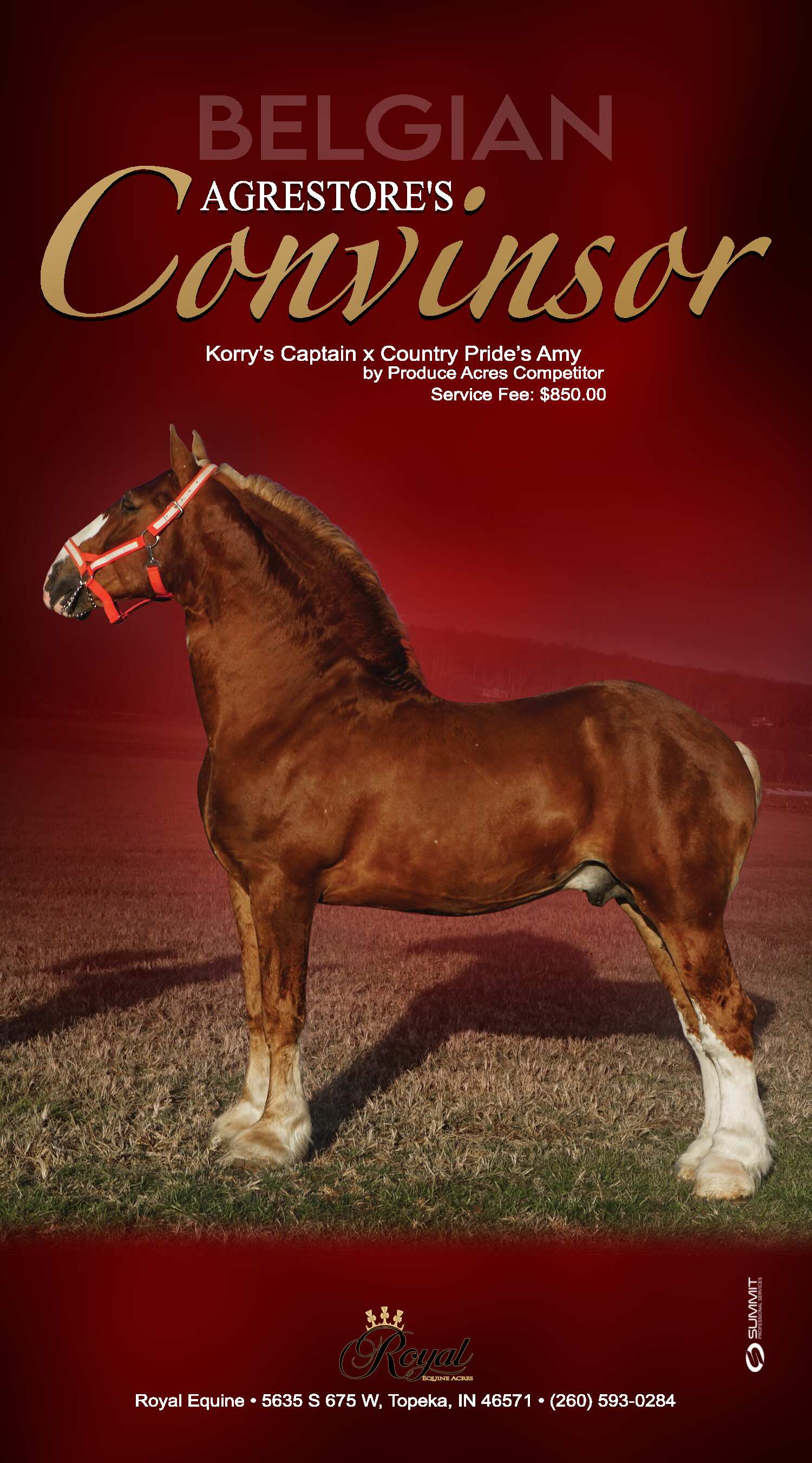 Indiana Belgian Draft Horse Association